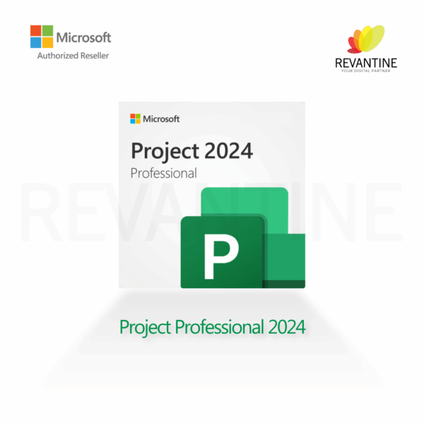 Microsoft Project 24-01