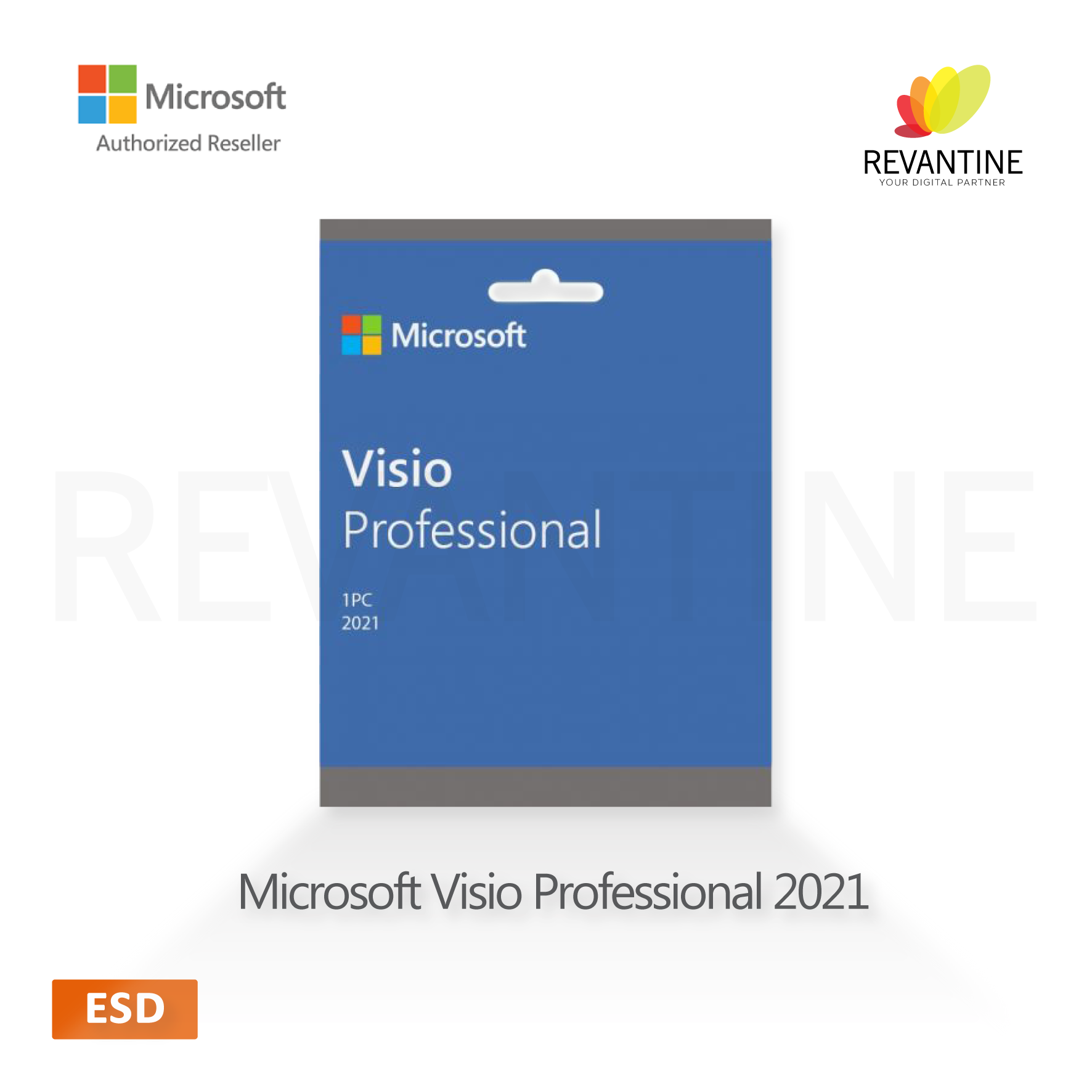 Visio 21 Pro microsoft visio professional