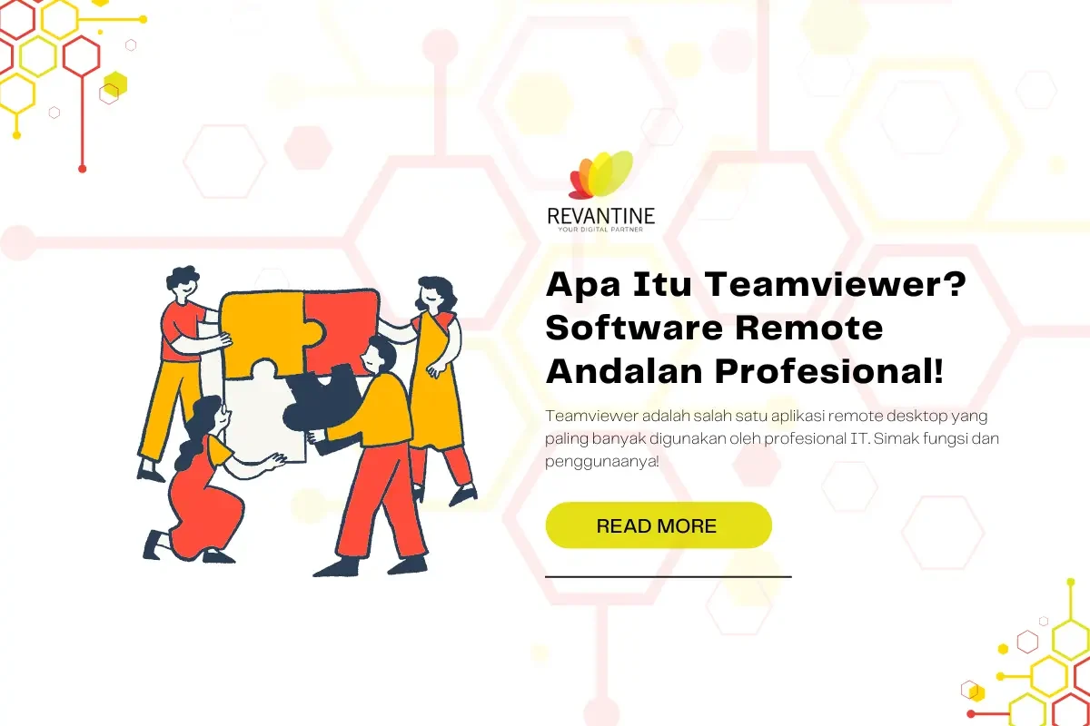 teamviewer adalah